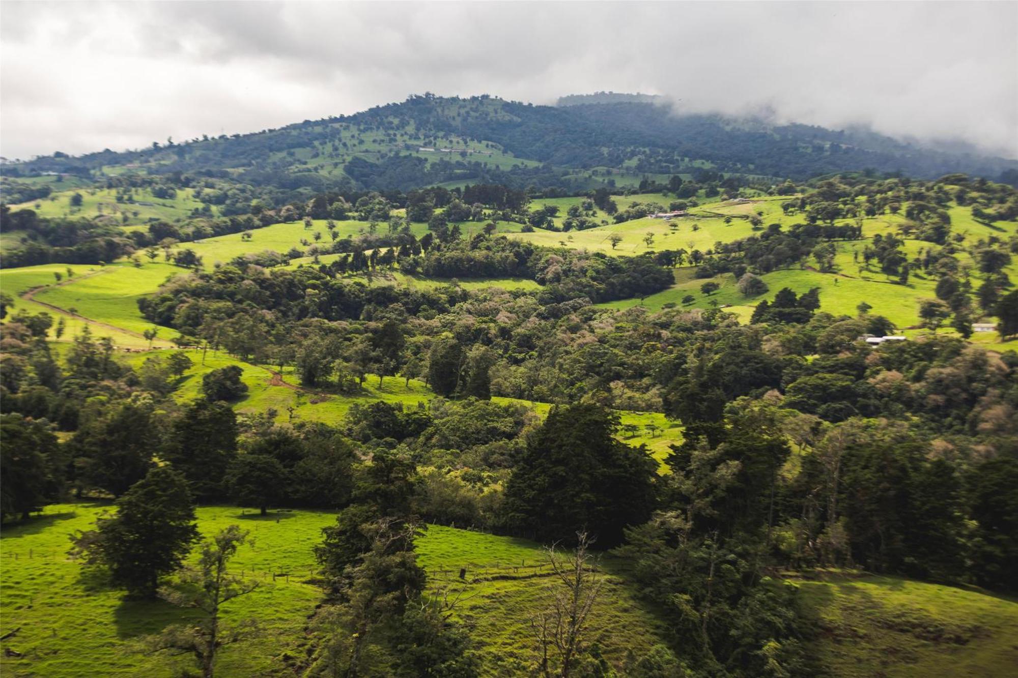 Hyatt Centric San Jose Escazu Hotel Bagian luar foto